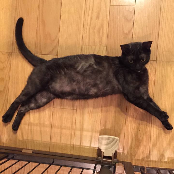 03c19f12 d846 4ded 8728 f21bc80b59f6