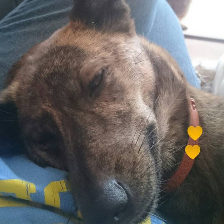 03c1c7b0 ef40 467c 87f8 6cc5e41a8fa3