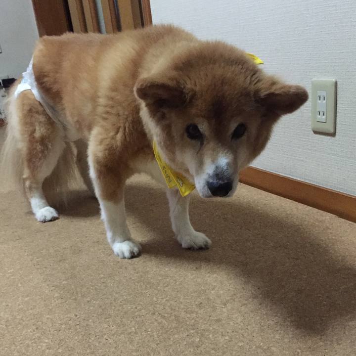 03c22921 b50c 4e9d ace9 df9611320858