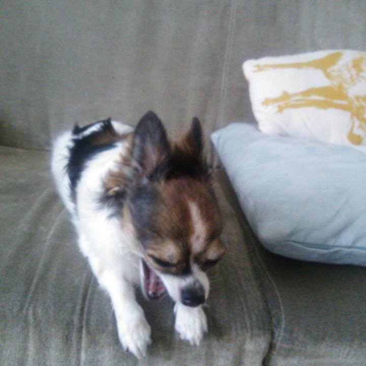 03c24f0a e0d8 4815 b210 ea218819d942