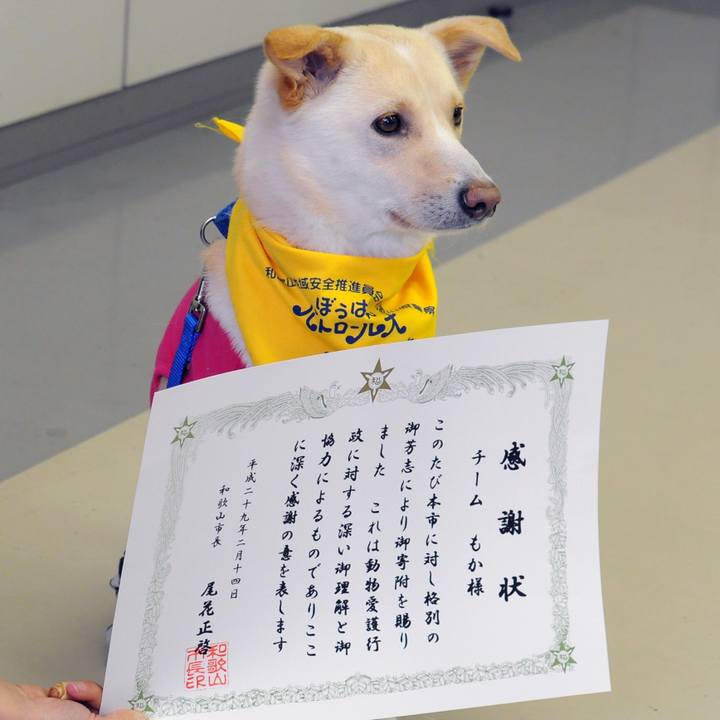 03c26029 cbbd 48db 86b7 c3b9578f41a7