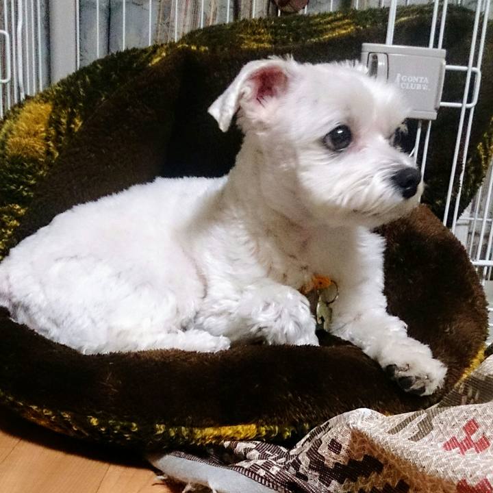 03c2a164 3bbb 46cd 91cd 356951ee7ee8