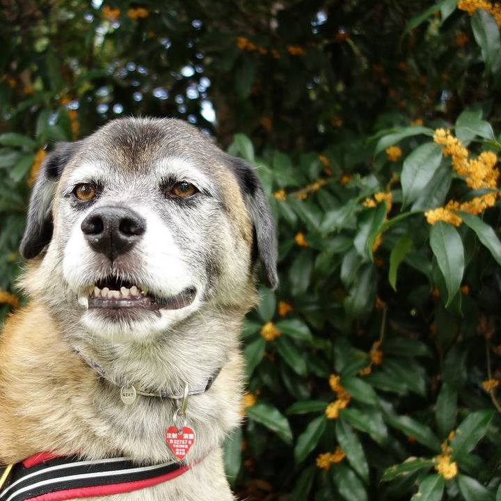 03c2f65c bbfd 454f 9f51 ec3539b39b39