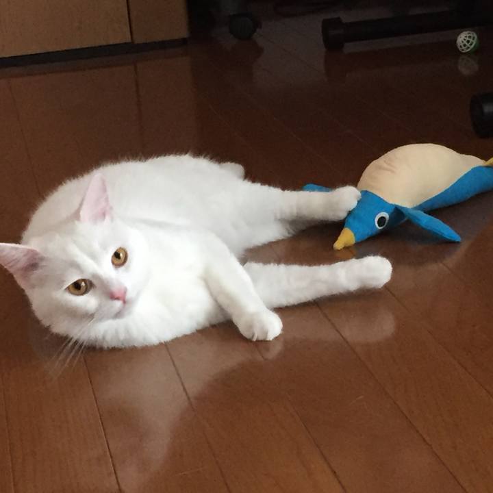 03c30ddb dedf 459b a7f3 3b1719d8cba1