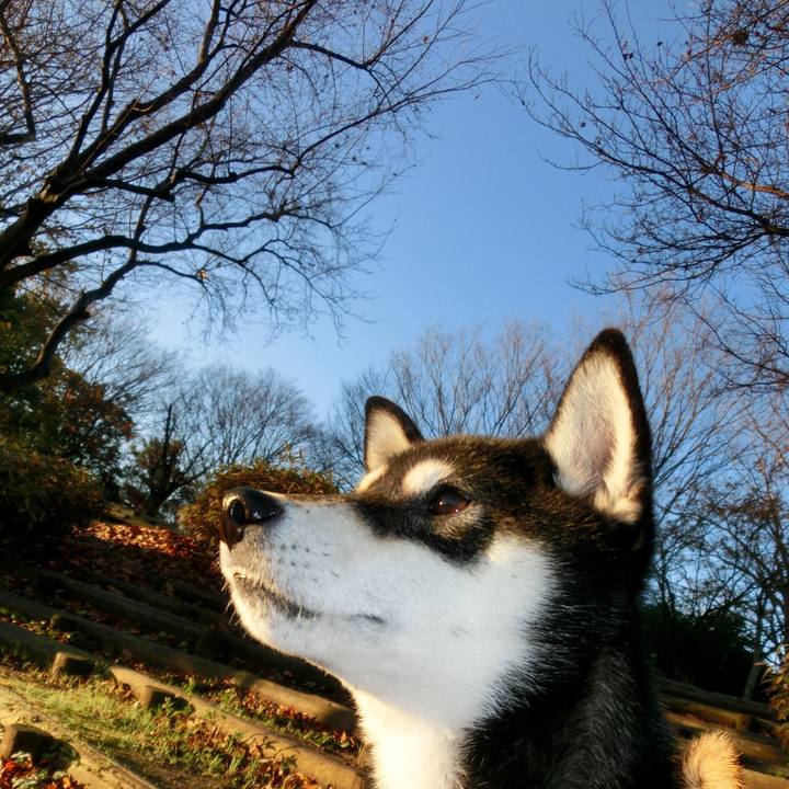 03c3447e de18 4154 942f 104ee724d13a