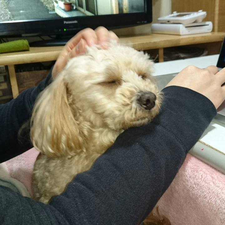 03c3a61e f62b 4d19 866e f64e8163fa23