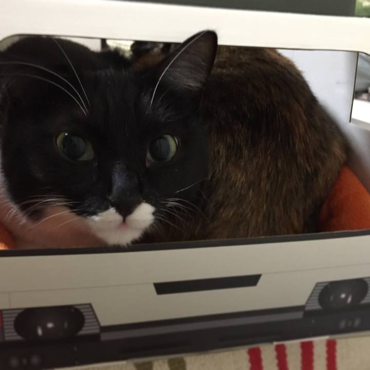 03c3abd5 071b 4da5 9916 2c1ecfbf0841