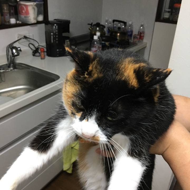 03c400de c52f 4318 90a8 0cf9f98080cb