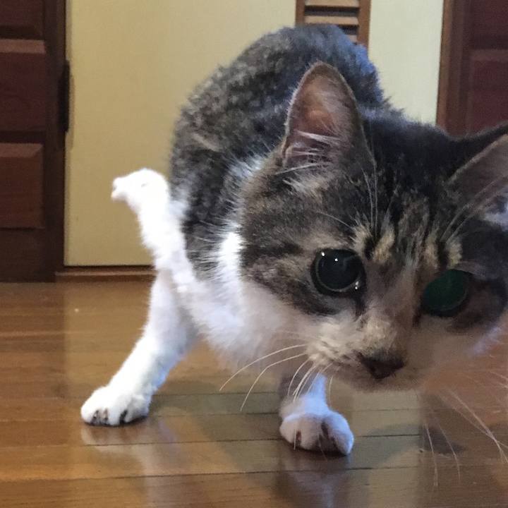 03c42b40 30da 4752 90b1 47391b5072b0