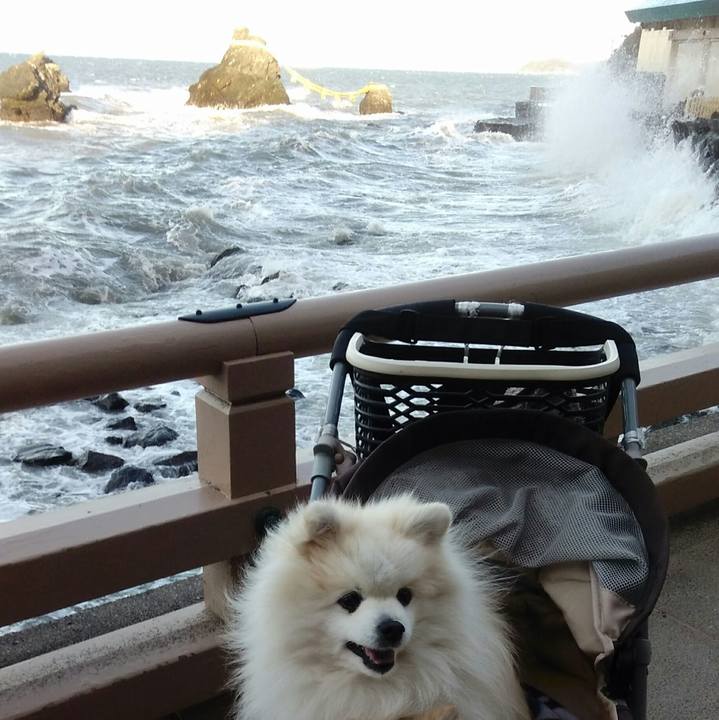 03c4b03a caf8 496c 9387 e18b3aafd67a