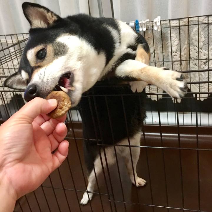 03c5e291 6c82 4f06 b507 6967effba00d