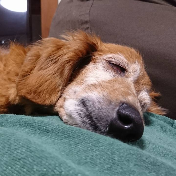 03c641a1 c87a 4d03 b428 2f6d6543f284