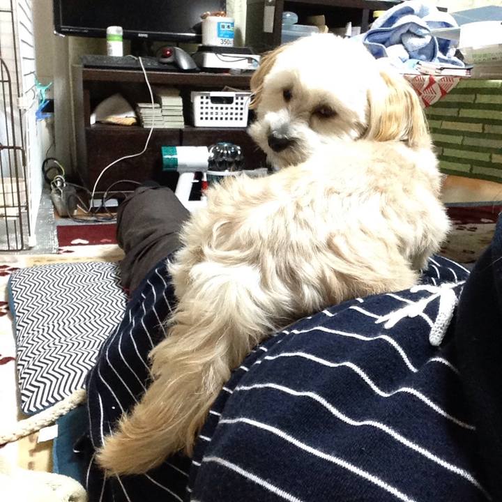 03c643eb c0a4 4852 9ffb 6443d889c38e