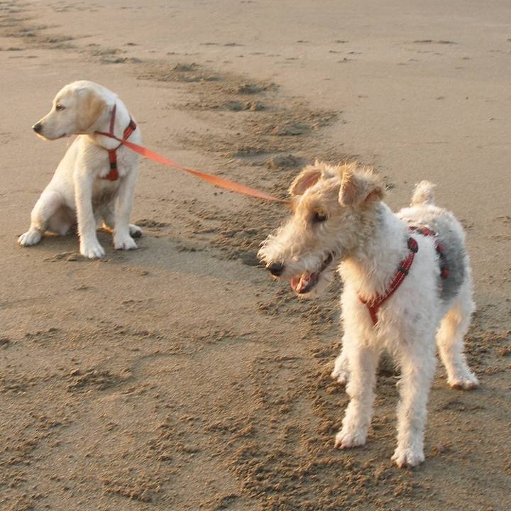 03c6ab53 0fd5 43fd afed 640408f74480