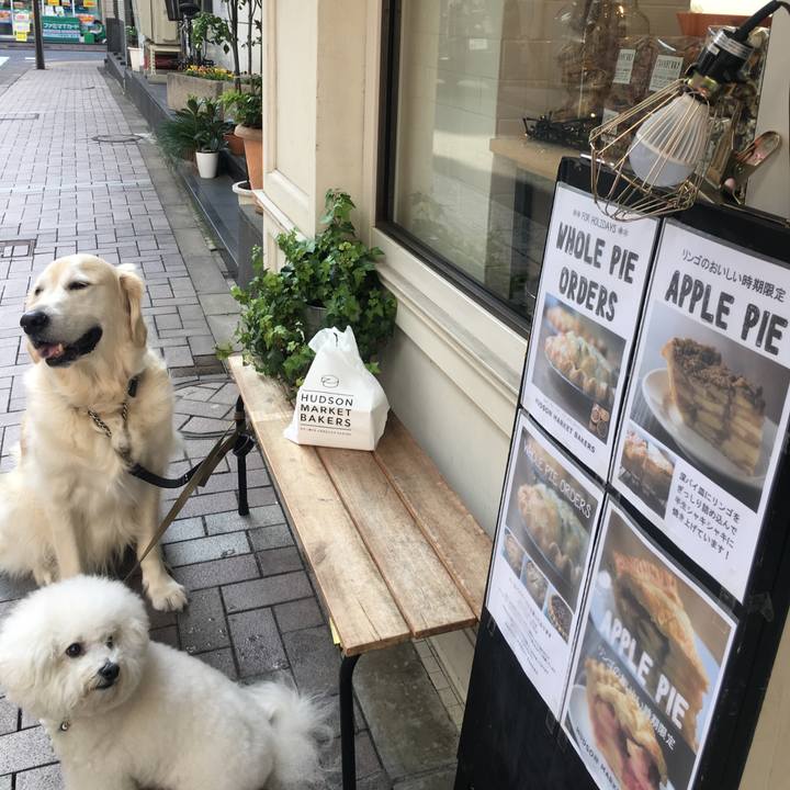 03c6c53d 4b56 4507 aa11 de8f06d0dfd4