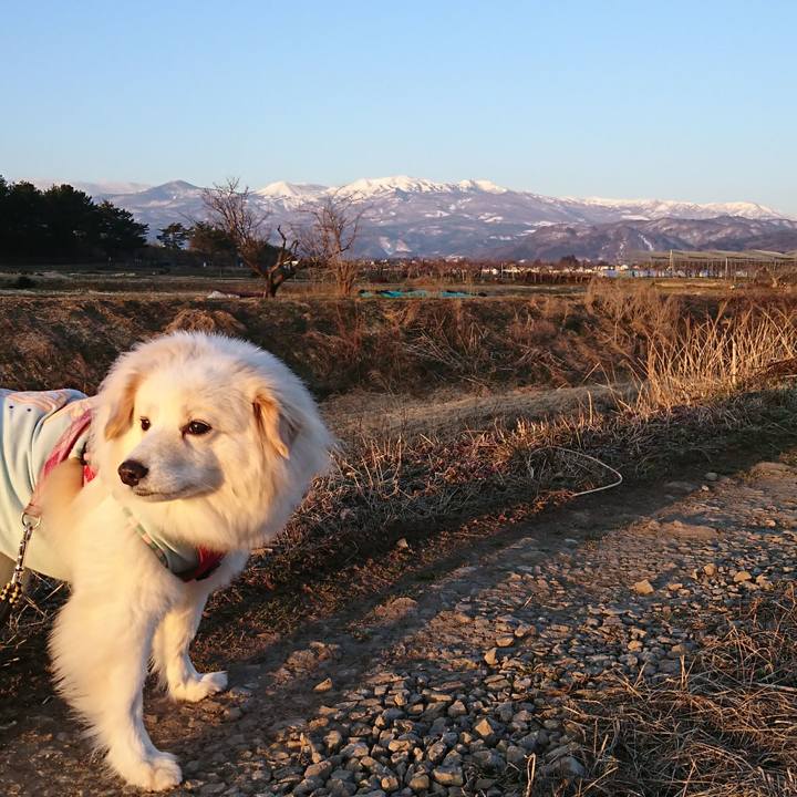 03c6ceb5 9239 49f2 a027 445f3b5bb699