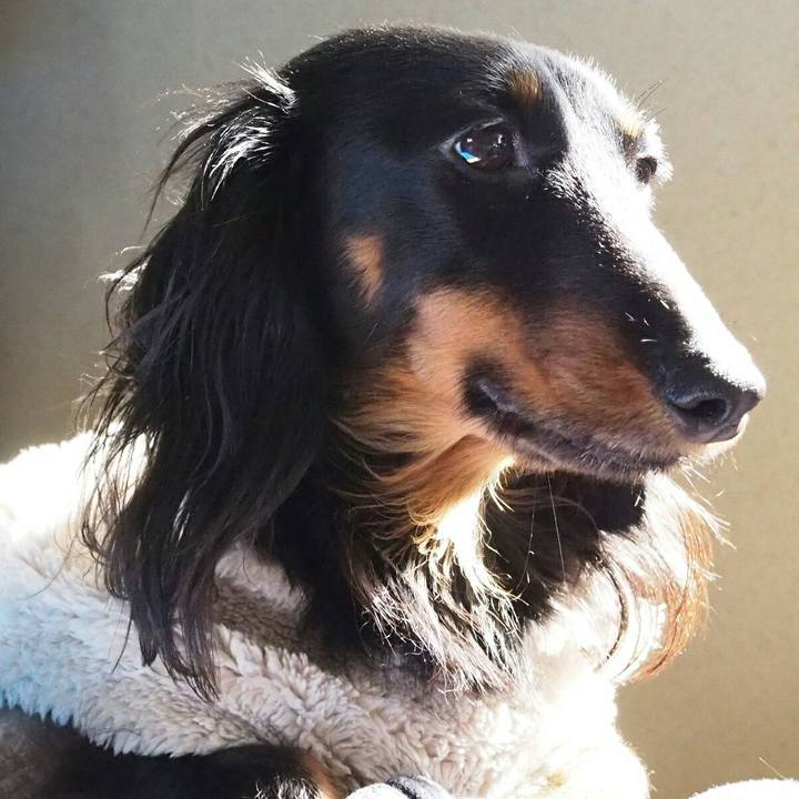 03c78ff5 8c86 469a 986d e3a44274553f