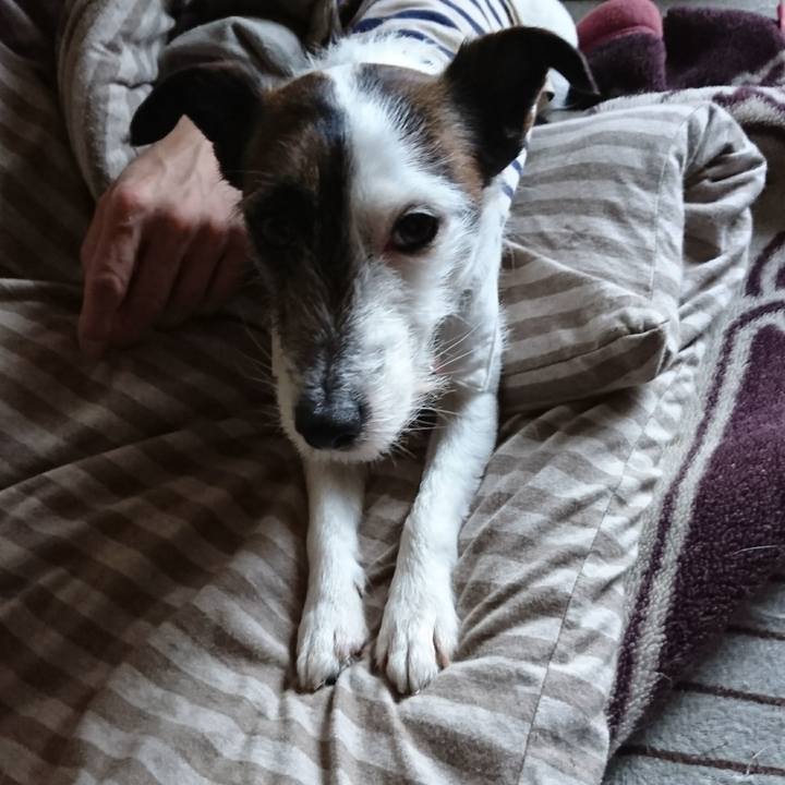 03c7bdce 6bb1 45ad bd48 ae63d355ff55