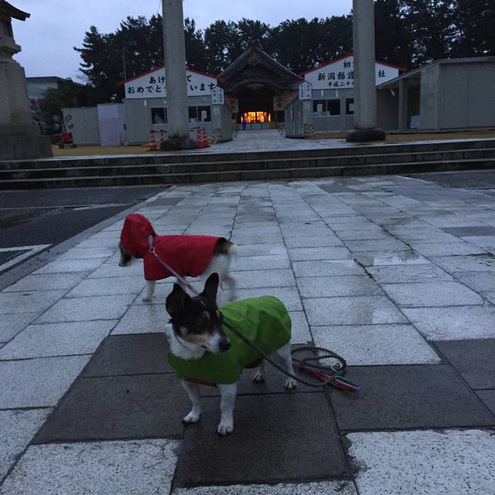 03c88e62 a530 412c b238 76a996159894