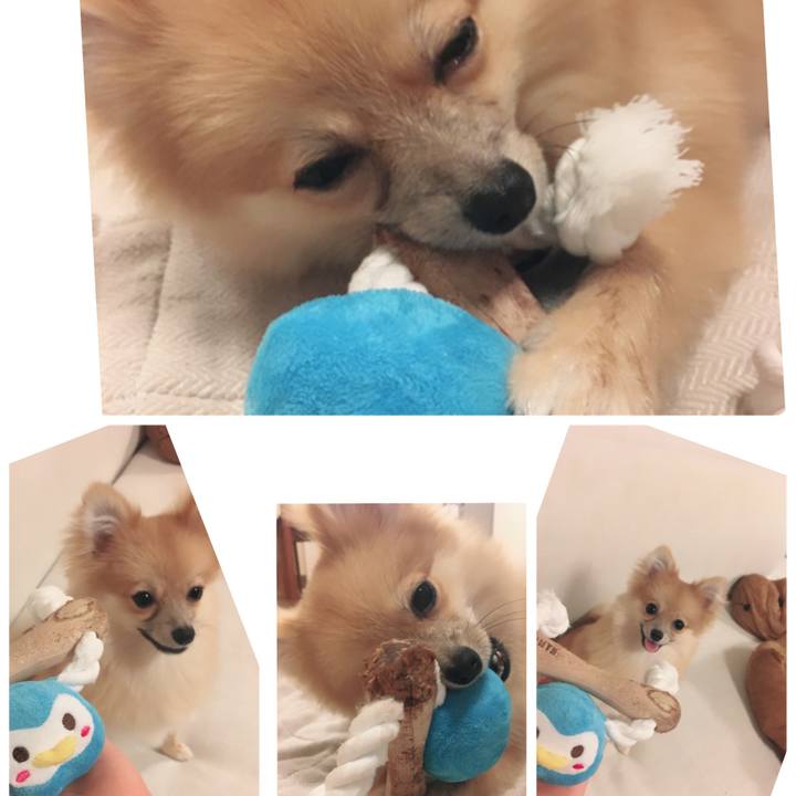 03c9894d 522a 40a3 8498 20e23f331328