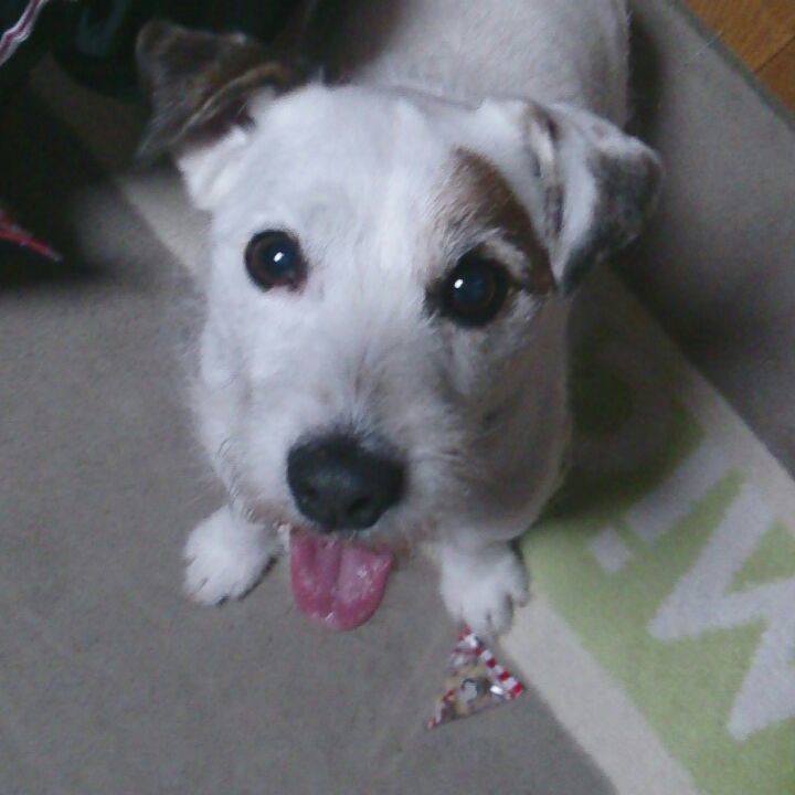 03cabd7b db8d 44bb 8078 b0a6039969d9