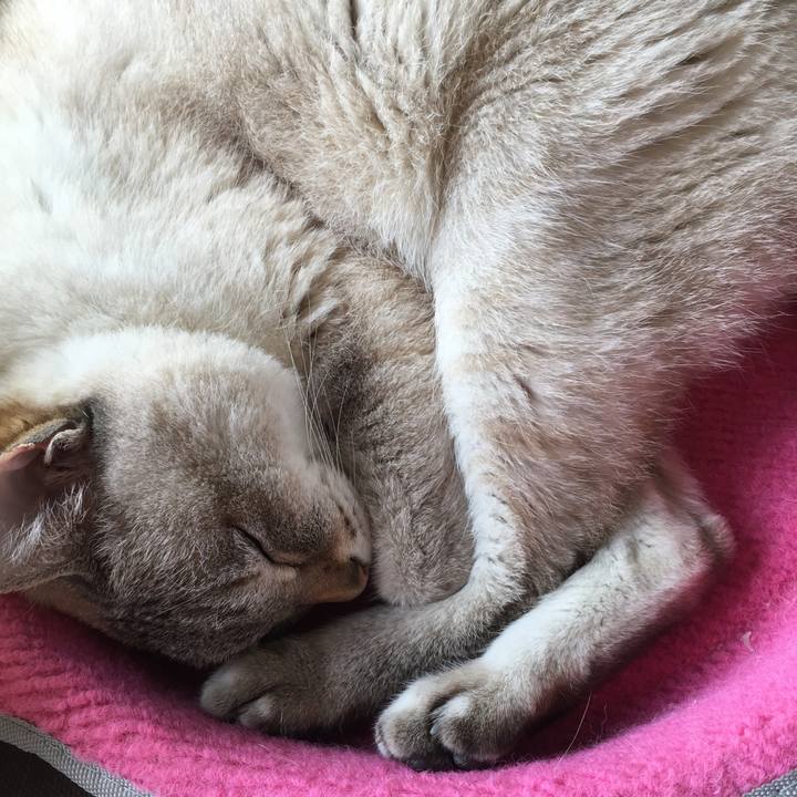 03cadeb3 2d1e 43d2 9bc0 e04147c19b96