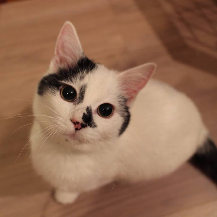 03caef8a 53f1 4e90 98f0 b217698af763