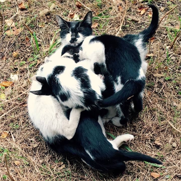 03caefd1 5009 4715 8a5b 196a32e8c424