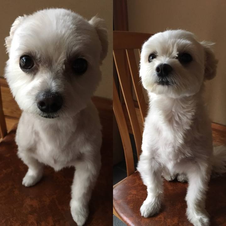 03cb30cb 7c4f 4fb3 ab5b 4e3ffed9b47e