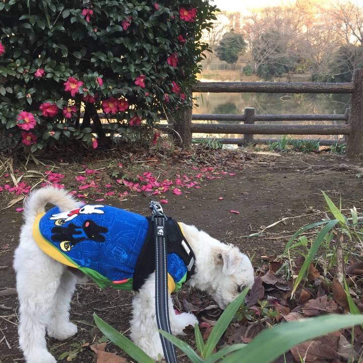 03cb71c8 037c 4f9e 85d0 190119910971