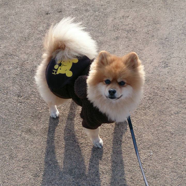 03cc4046 2905 41b1 b802 e97068915e27