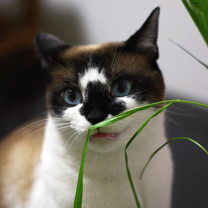 03cc80e6 9fa7 487b 8cf9 255e1e61aa5d