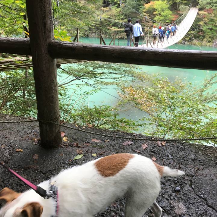 03ccb2ec b5a9 42a6 ac4a 3d3c8995a4bd