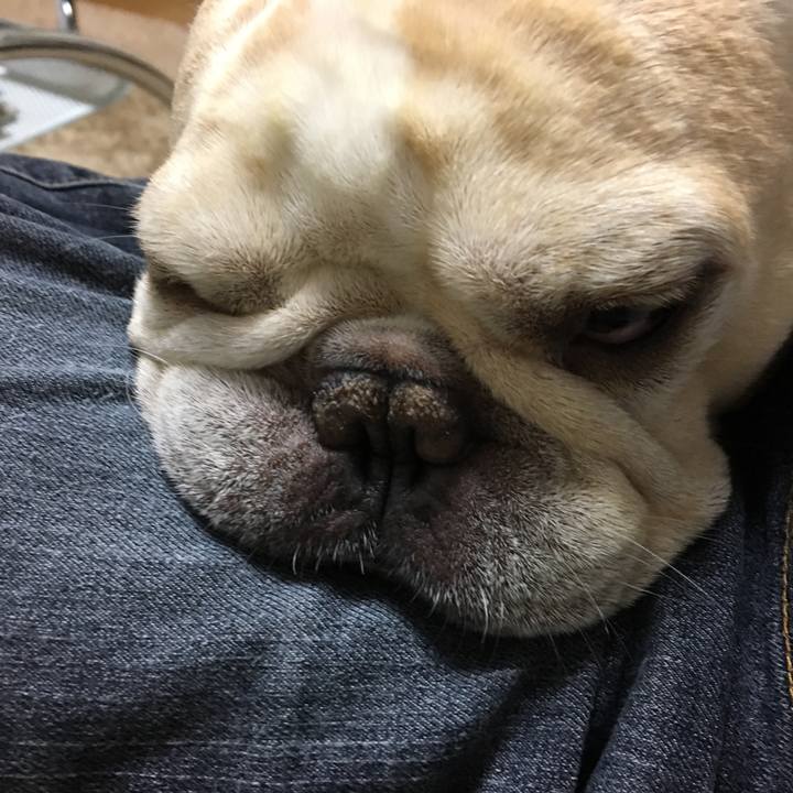 03cceeda 6d56 4bff 8e11 a1626f4b6477