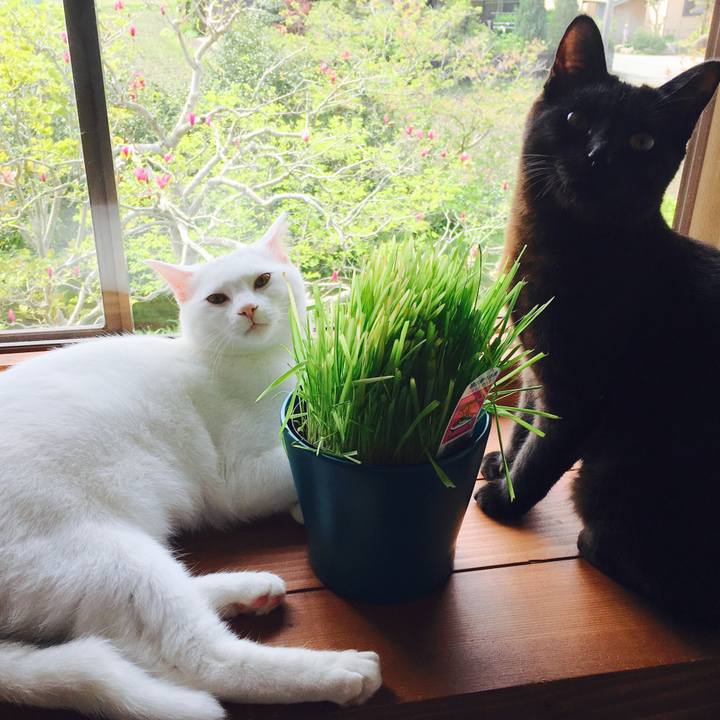 03cd50af 3be6 4400 bd3a 6d7411cd5ffe