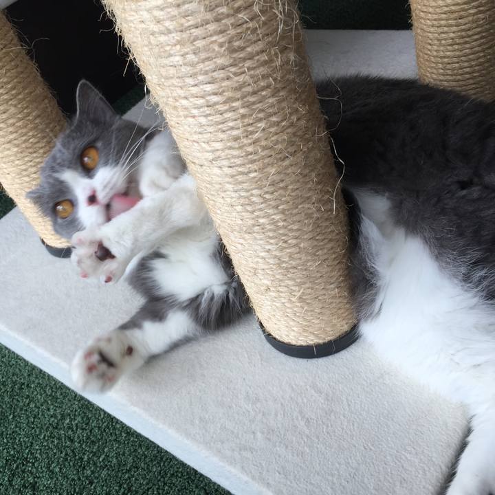 03cd89d6 2c6a 4d72 bdc9 ba3c632869a1