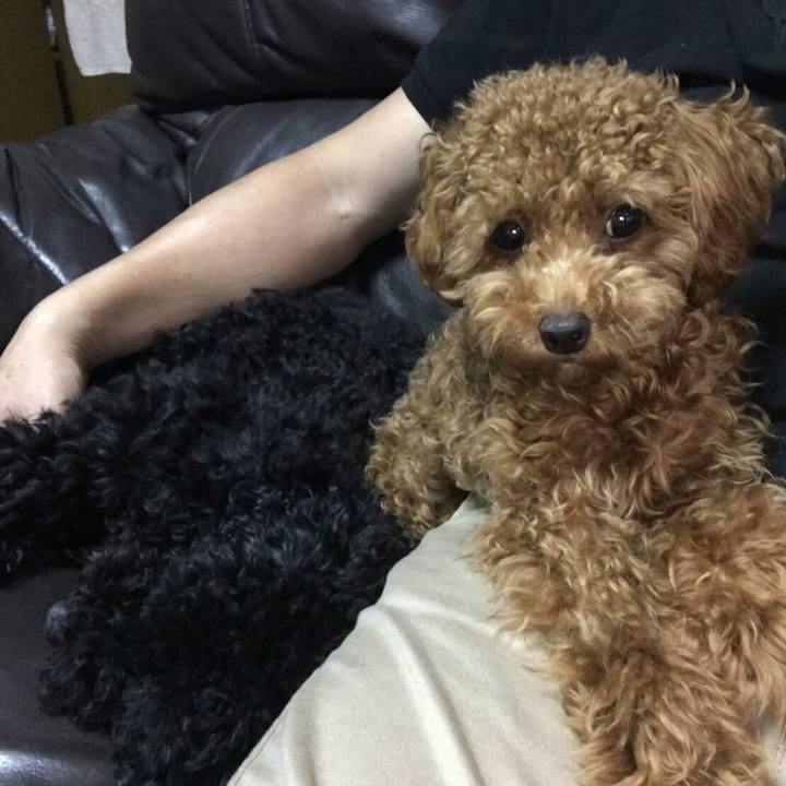 03cd94ff 3ab5 496e 85b8 d60c9d4d62ec