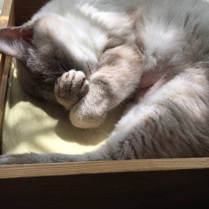 03cda3a3 f018 426b af57 b77da7a7cdd8