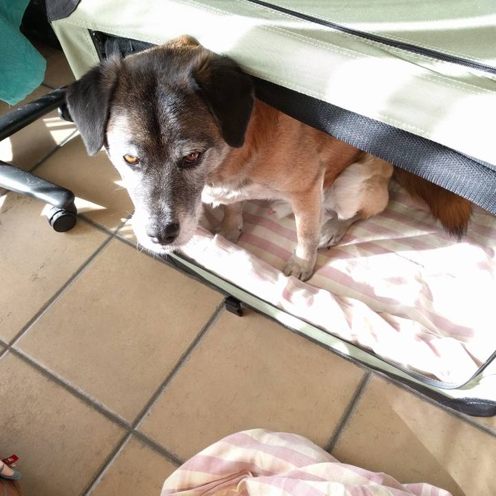 03cde8c6 5f10 4633 b327 505eefa7c72c