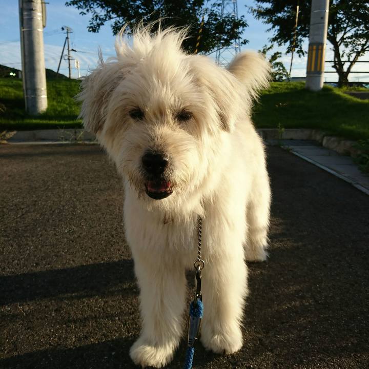 03ce0b50 c992 4bf8 94d7 ed87fb6fcc1d