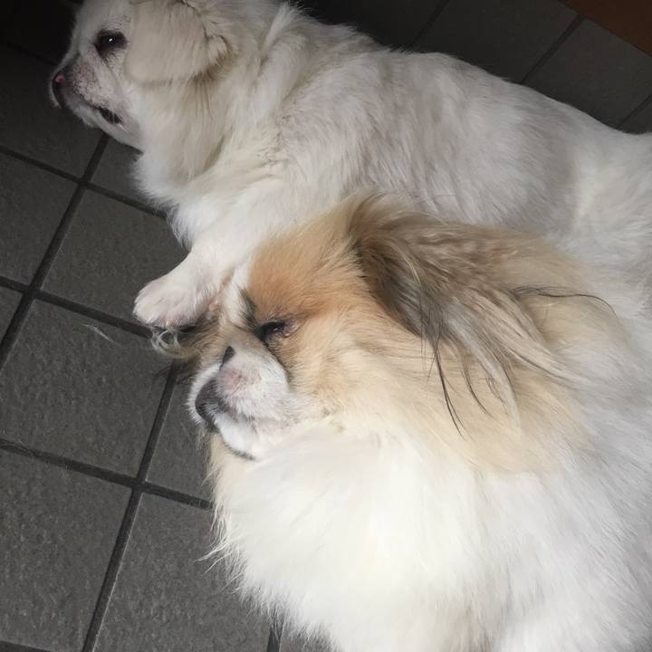 03ce70eb 445b 4f42 a135 83491dba7f44