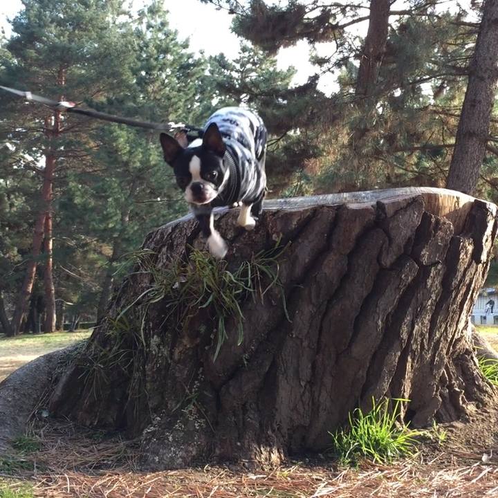 03ced604 b580 4805 9c36 6c41384dbec5