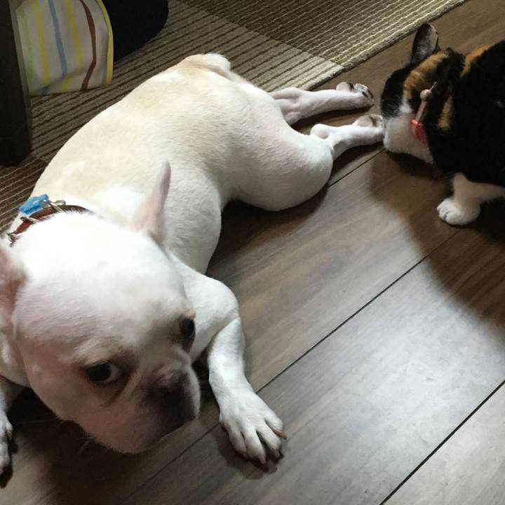 03cf01fc f5e9 4067 ac23 8f21cc3c0152