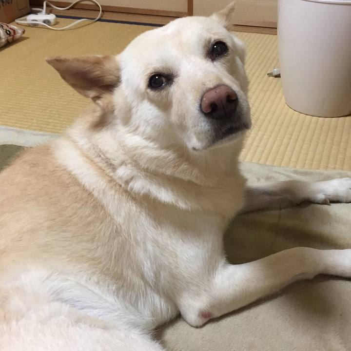 03d04e8d 3ae6 429a bcae 0d4f5a302f03