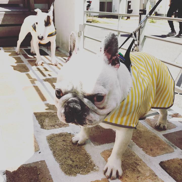 03d079a5 4a1b 4f0e b2b9 e3f175930d23