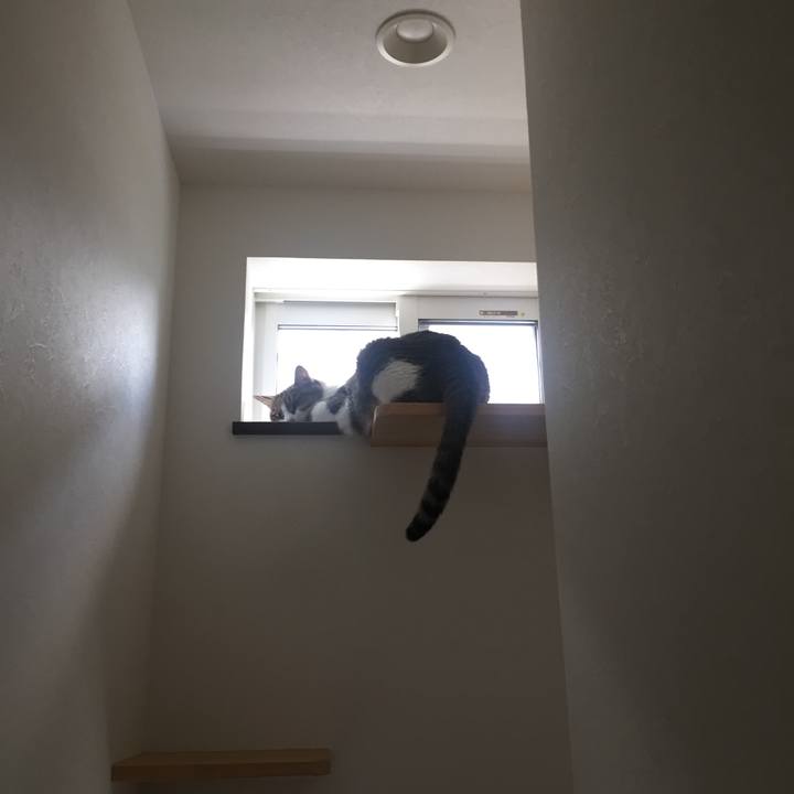 03d07ec4 4f5c 4ab0 bc98 41235f1bc7e9