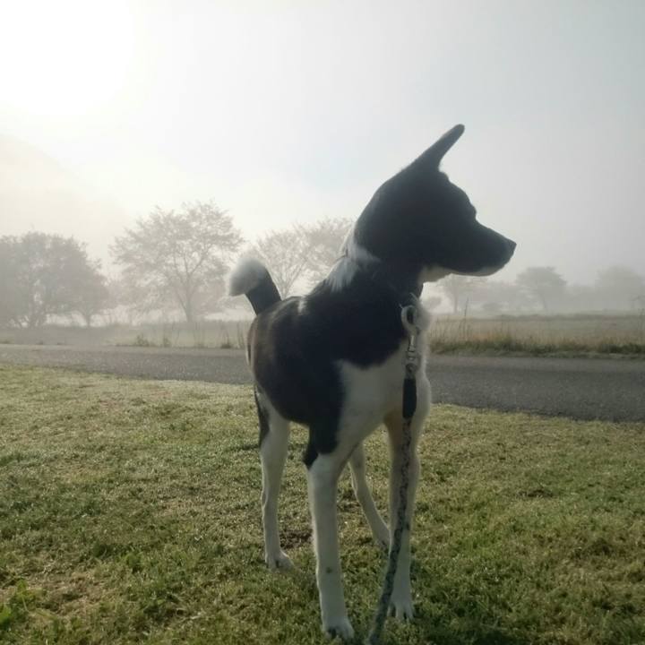 03d091ac 33a9 4246 99c9 78500f8fdec1