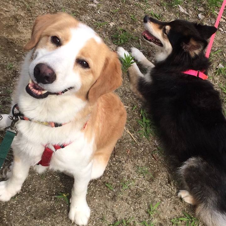 03d0cac8 d6ce 41be a936 9360a6b84113