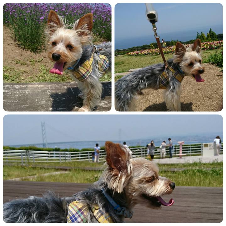 03d1578c 806e 4149 8a69 c338da921f1f