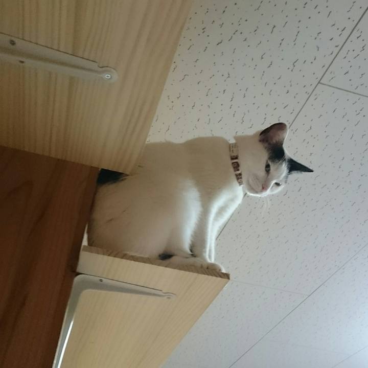 03d1a9a7 e158 4cf0 94b6 696f49a00094